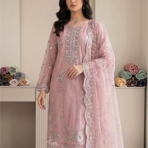 2 Piece Embroidered Net Suit
